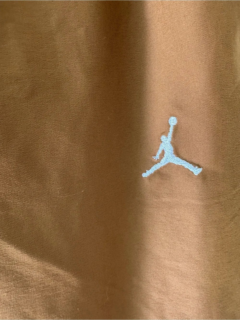 Jordan Men's Brown Joggers with White Jumpman